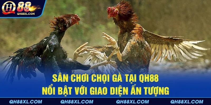 Sân chơi tại QH88 nổi bật với giao diện ấn tượng