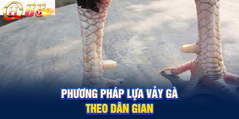 Phương pháp lựa vảy gà theo dân gian